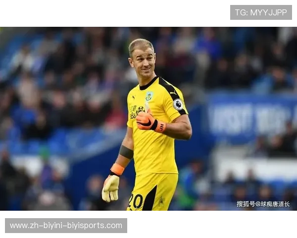 英超联赛中瑞典籍球员数量及代表人物数据分析